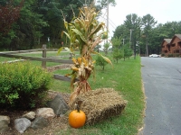 091811ipoa_dressed_fall 008.jpg